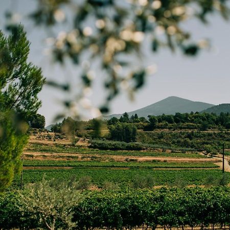 Les Gites Du Clos Saint Michel & Spa 马洛塞讷 外观 照片