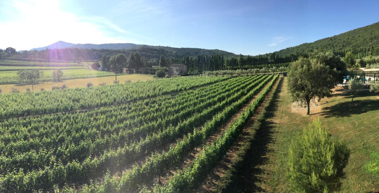 Les Gites Du Clos Saint Michel & Spa 马洛塞讷 外观 照片